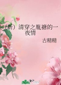 （新）清穿之胤禟的一夜情