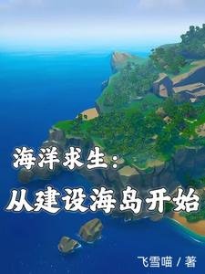 海洋求生：从建设海岛开始