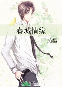 春城情緣